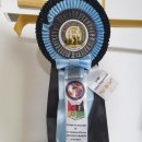 달보드레/루체레 이미지