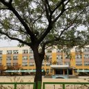 송내초등학교 이미지