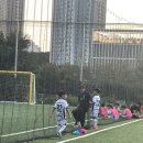 유소년 축구교실(초등학교 3~5학년) | 대전 유소년축구클럽 :: 대전중앙FC스포츠클럽 다니고 있어요 ♩
