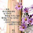 이 안 경 이미지