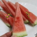 수박씨 이미지