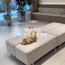 포레동물병원 이미지