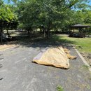 모구리야영장(체력단련장) 이미지