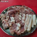 꽃돼지뽈사랑