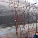 한나농장 이미지