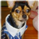 산이랑 바다 이미지