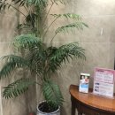 공항굿모닝치과의원 이미지