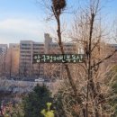 압구정-114 이미지