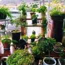 함평농협주유소 이미지