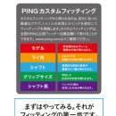 맥스Golf 이미지