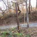 김을생 효자각 이미지