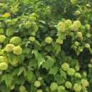 선재마을 이미지