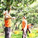 한화농장 이미지