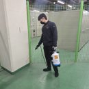 부산방역