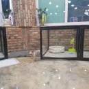 블링펫샾 네이버블로그