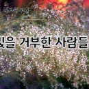 3월 3일 (화) 빛을 거부한 사람들! 이미지