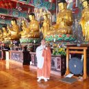 참사랑주막 이미지