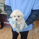 정선가축병원 이미지