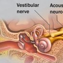 대전메디컬 이미지