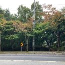 봉산 수국사지구 공중화장실 | 등린이의 산 여행기 세번째이야기 팔공산 비로봉