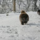 골든힐폼 이미지