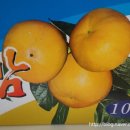 주리농장 이미지