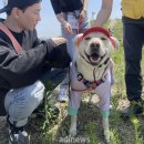 강*혜 이미지