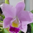 한농한의원 이미지