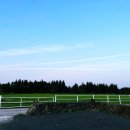 제주스럼 이미지