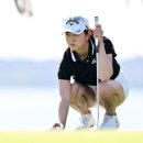 로즈스크린골프 이미지