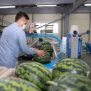 진안군농협조합공동사업법인 이미지