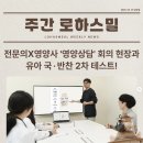 새벽카레 | 아기 유아식 로하스밀 출시 전 샘플 소고기무국, 카레덮밥소스 후기