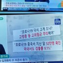 기침가래천식에 잔대도라지청 // 유기농으로 기른 볶은 결명자 이미지