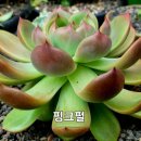 창전농장 이미지