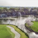 센츄리(아) 이미지