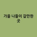 곰배령올레 | 가을 나들이 갈만한 곳을 어떻게 되는건가요 ?