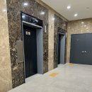 퍼피펜트하우스 | [일산] 풍동에 위치한 애견카페 퍼피펜트하우스 다녀온 후기!