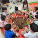 창원단감테마공원 이미지