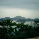 미륵도 티스토리