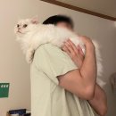 BB 동물병원 이미지