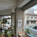 룩투(look to) 이미지