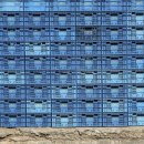 오늘은 태권도 이미지