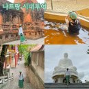 나트랑시내투어 아이리조트 머드스파 포나가르사원 포함 코스 굿
