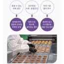 강아지영양식 | 펫퍼플 인푸드 오토파지 치킨 케어 후기