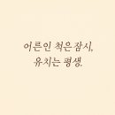 라이프라이팅
