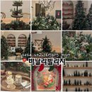 바닐라빌리지 | 2024 대구 크리스마스 카페 바닐라빌리지 주차,포토존 솔직후기