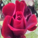 A0872 쇼핑하우