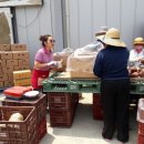 태기농장 이미지