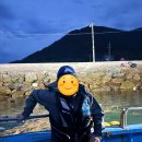 형제조류 | 금오도, 안도 첫 갯바위 후기 (feat. 갯바위 주의사항, 가는 법)