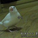 송송송PC 이미지